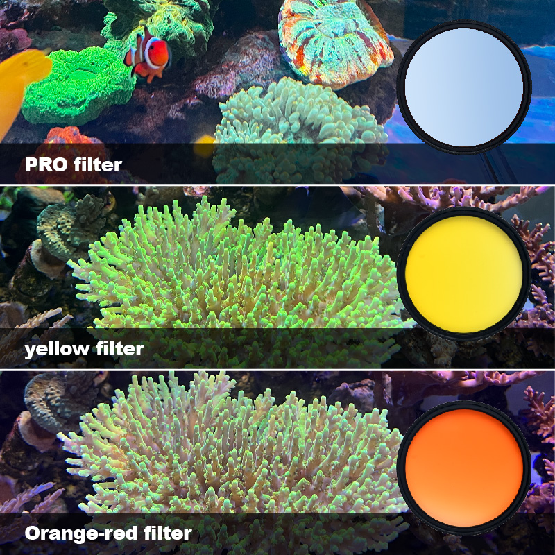 Photo Develop Tank - Filter akuarium laut Vastocean, foto tangki